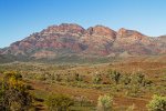 flinders ranges national park landscape